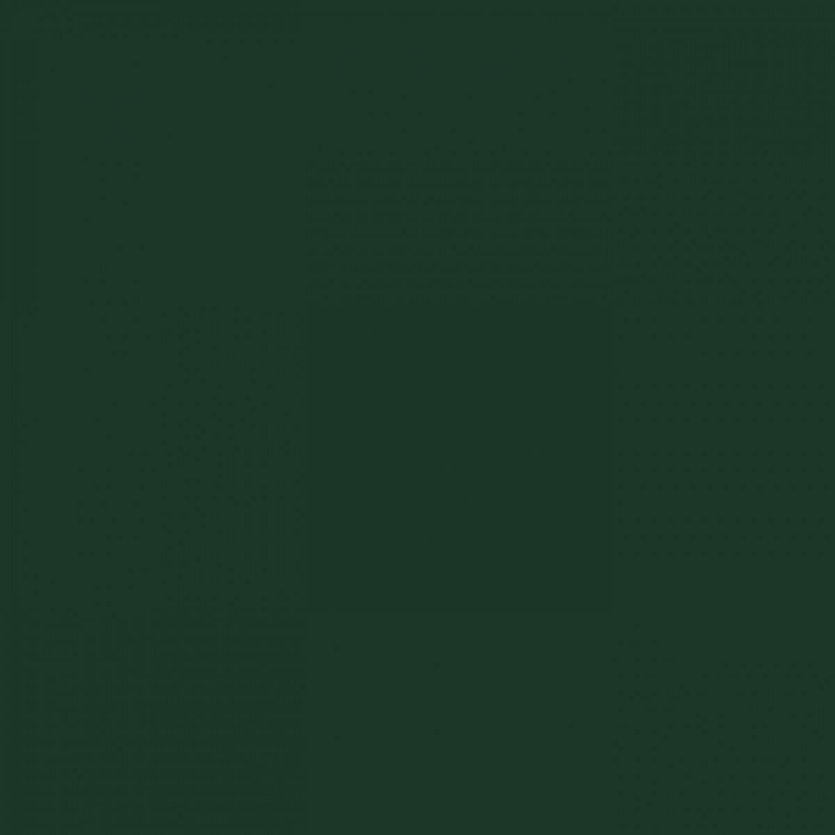 ЛДСП Egger Зелёный еловый U699 ST9