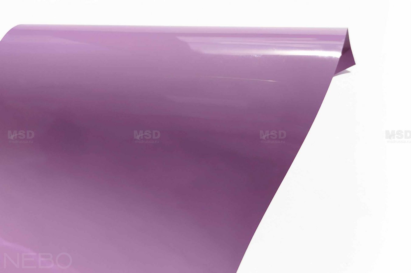 Gloss 229