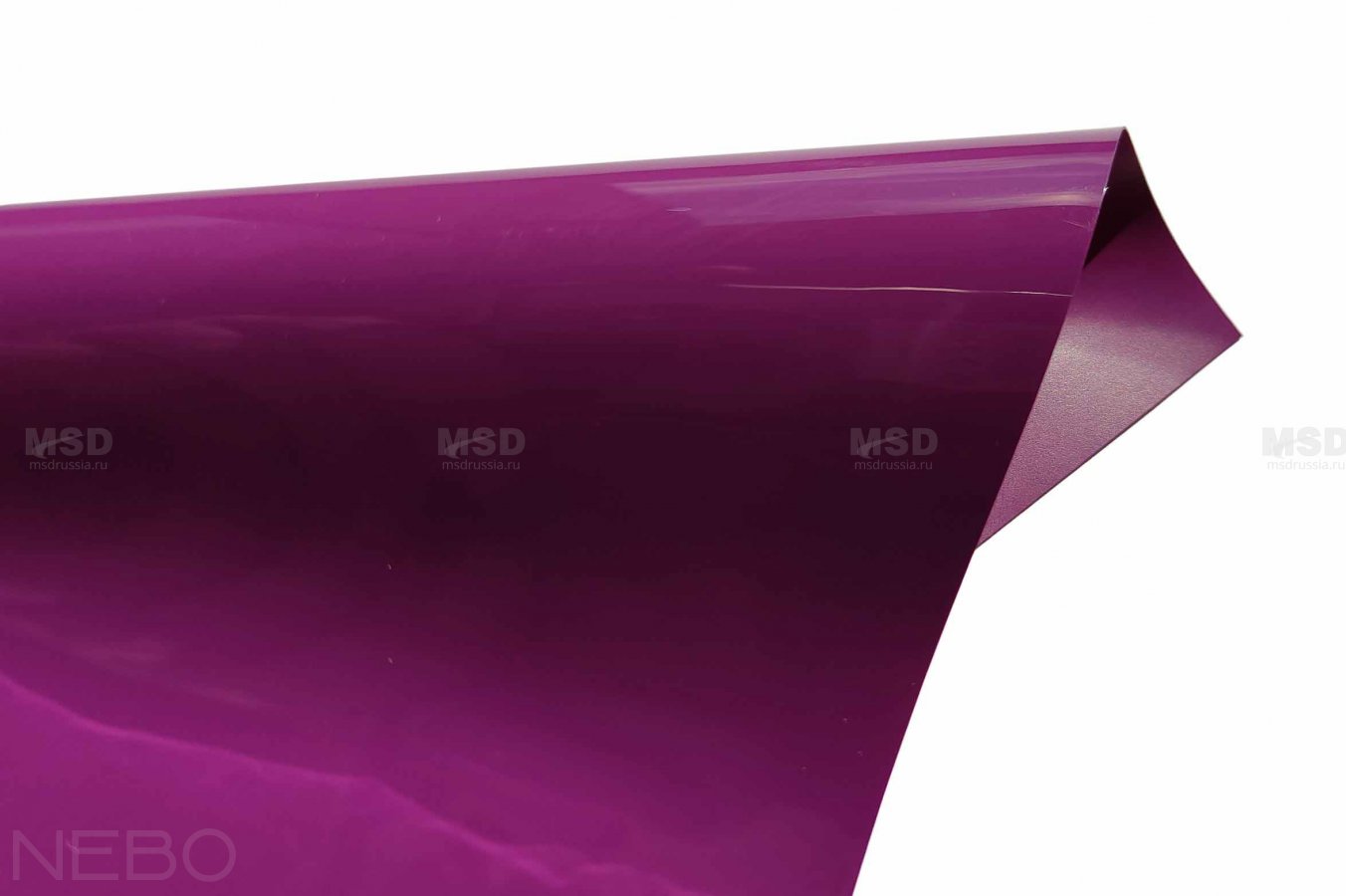 Gloss 231