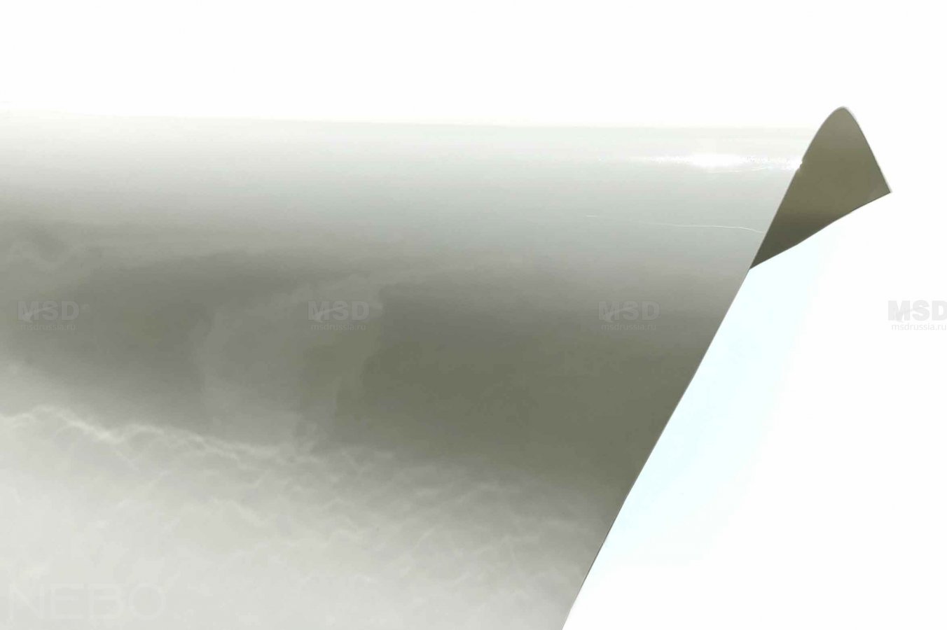 Gloss 305