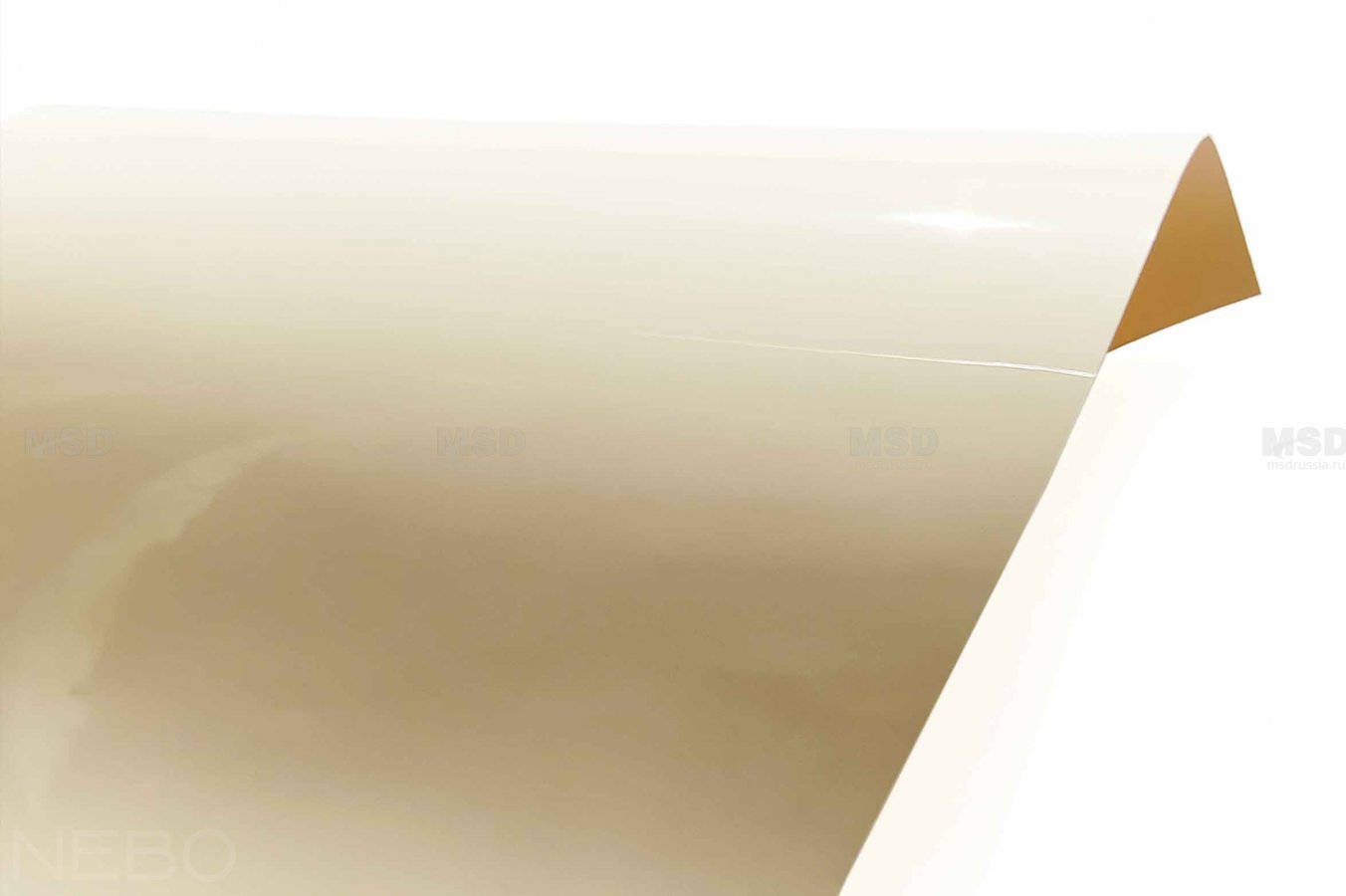 Gloss 307