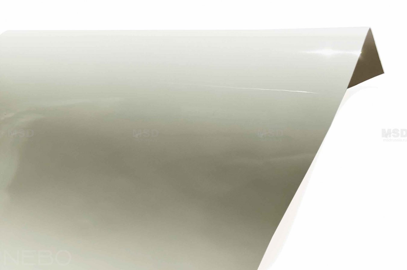 Gloss 309