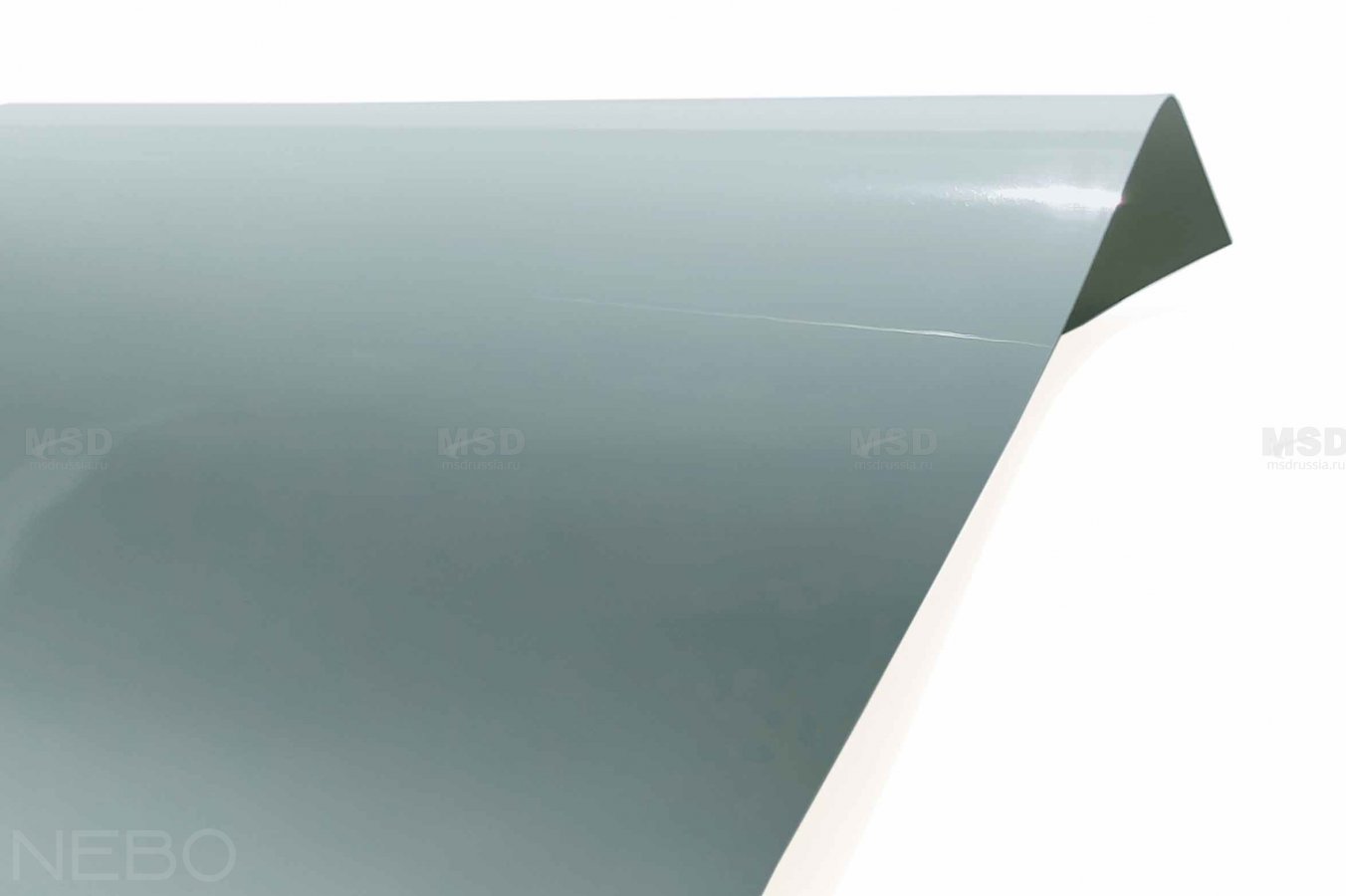 Gloss 313