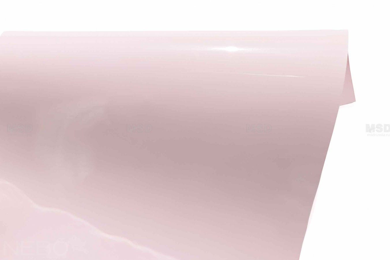 Gloss 404