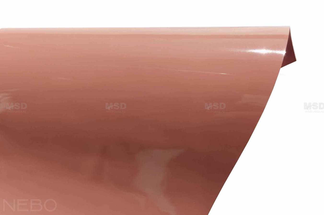 Gloss 410