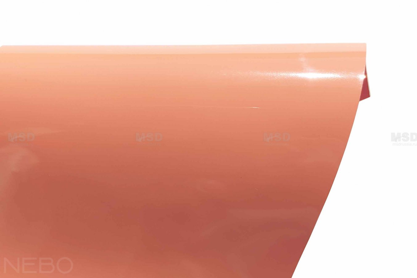 Gloss 424