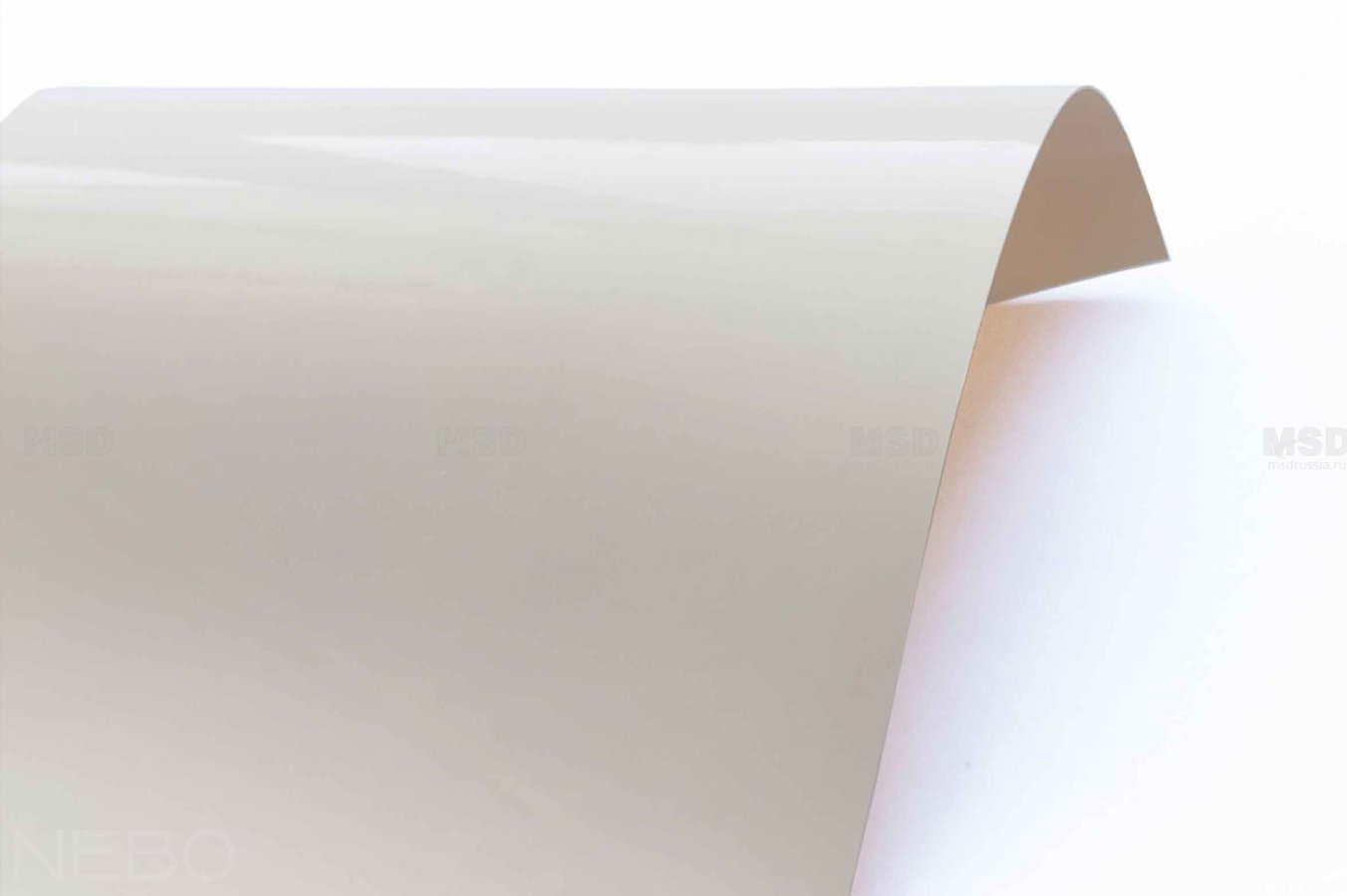 Gloss 501