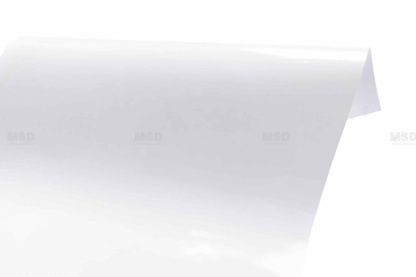 Gloss 303 Белый глянцевый