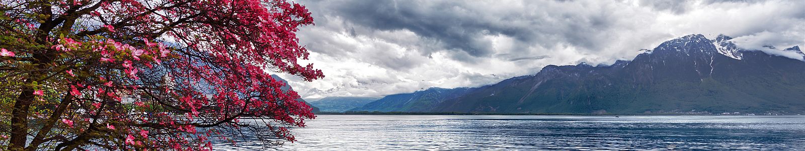 №2174 - Воды каспийского моря