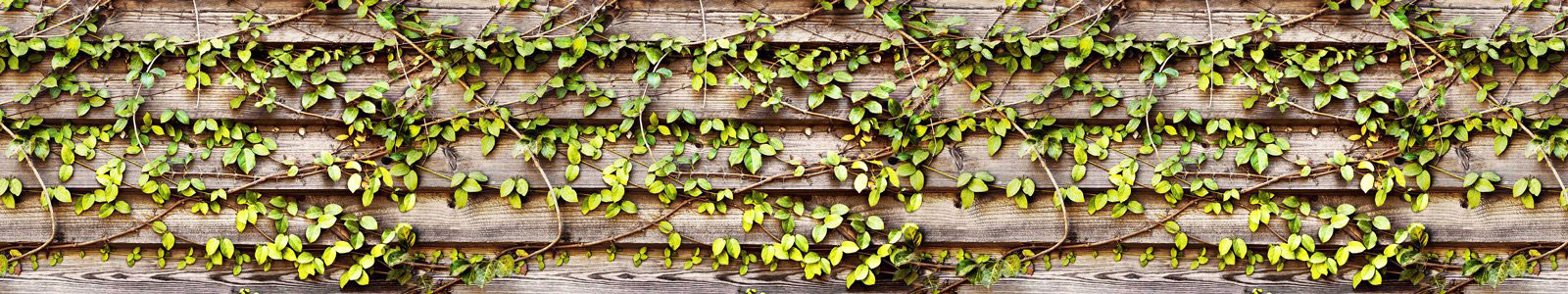 №6346 - Деревянная стена в плетущемся растении