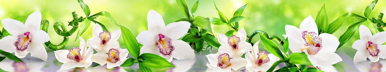 №6366 - Чудесные белые орхидеи с листьями бамбука на зеленом фоне