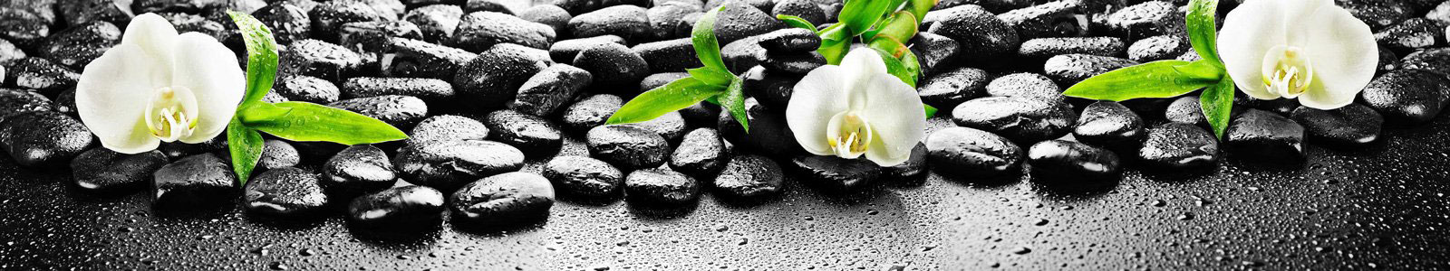 №6413 - Белая орхидея на камнях с каплями воды (избранный фокус)