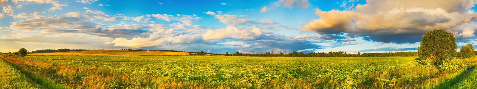 №6746 - Поле на закате, деревенский пейзаж