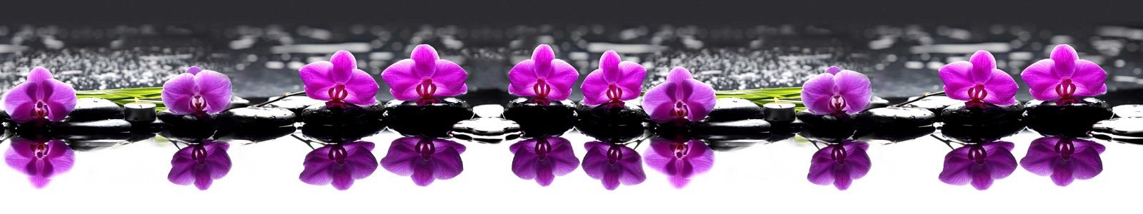 №6751 - Камушки с орхидеями на воде