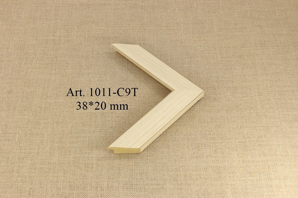 1011-C9T