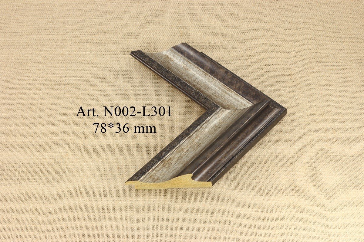 N002-L301
