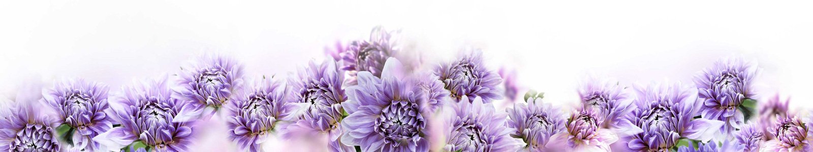№6790 - Нежные фиолетовые цветы на светлом фоне