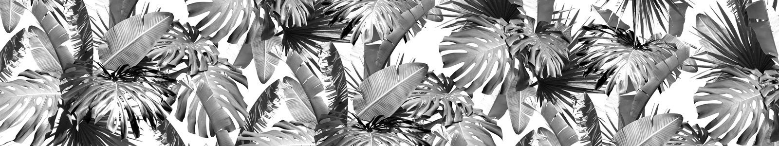 №6812 - Листья тропических растений в черно-белом варианте