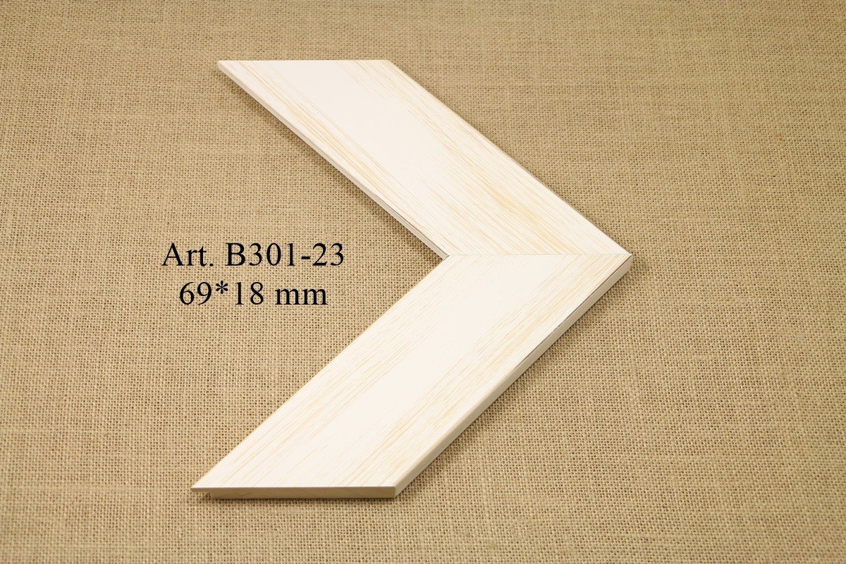B301-23