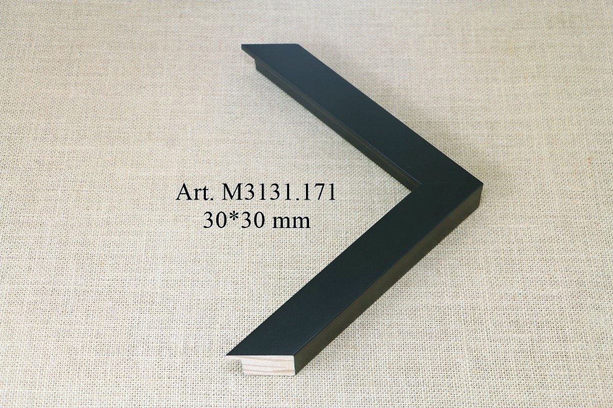 M3131.171