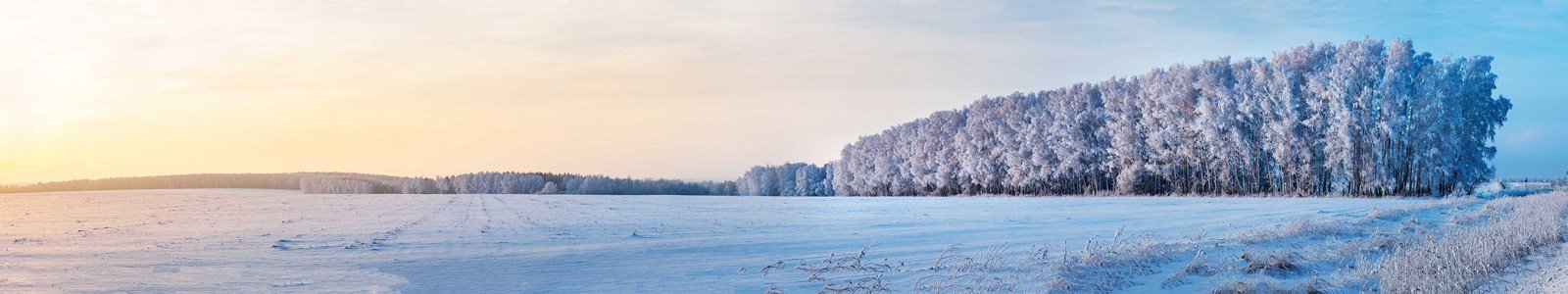 №7195 - Панорама зимнего поля