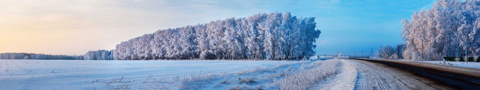 №7196 - Панорама зимнего поля у дороги
