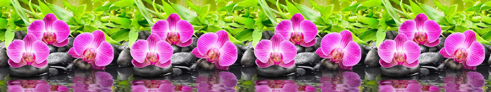 №7219 - Пурпурная орхидея на базальтовых камушках