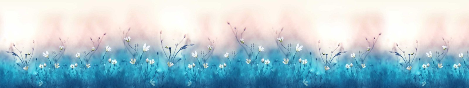 №7246 - Сказочные полевые цветы