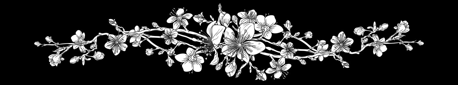 №7410 - Цветение сакуры на черном фоне