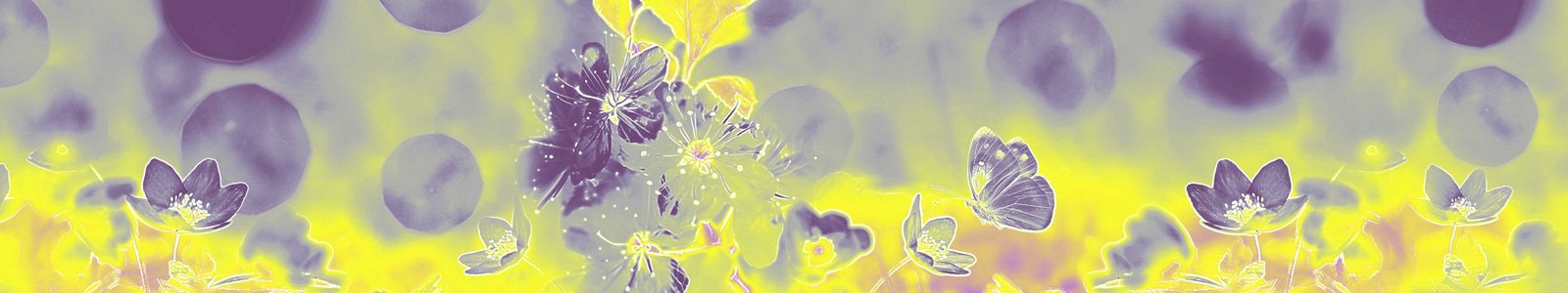 №7475 - Цветы в фантазийном исполнении
