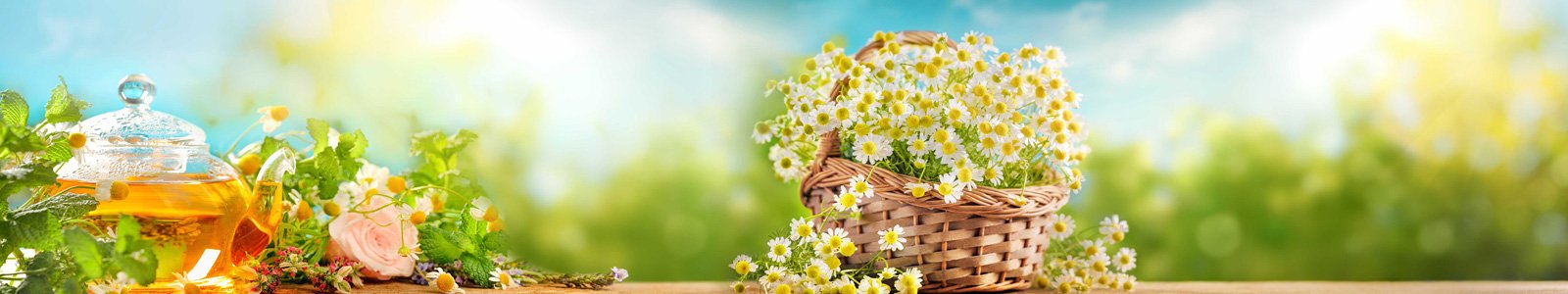 №7780 - Ароматный ромашковый чай и свежие цветы