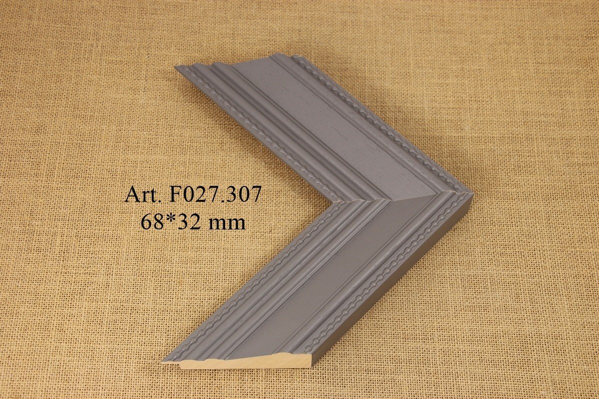 F027.307