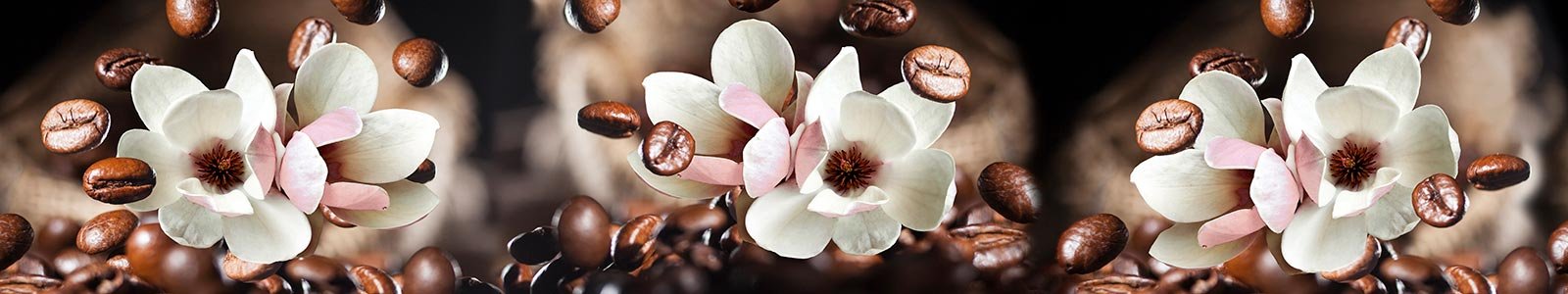 №8174 - Бело-розовые магнолии на фоне из падающих хорошо прожаренных кофейных зерен