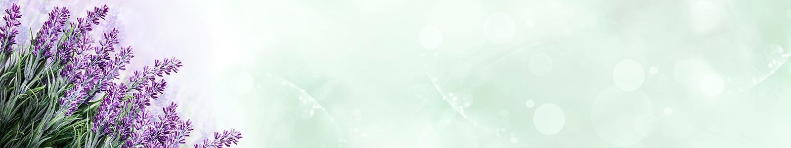 №8259 - Цветы лаванды на мятном пастельном фоне