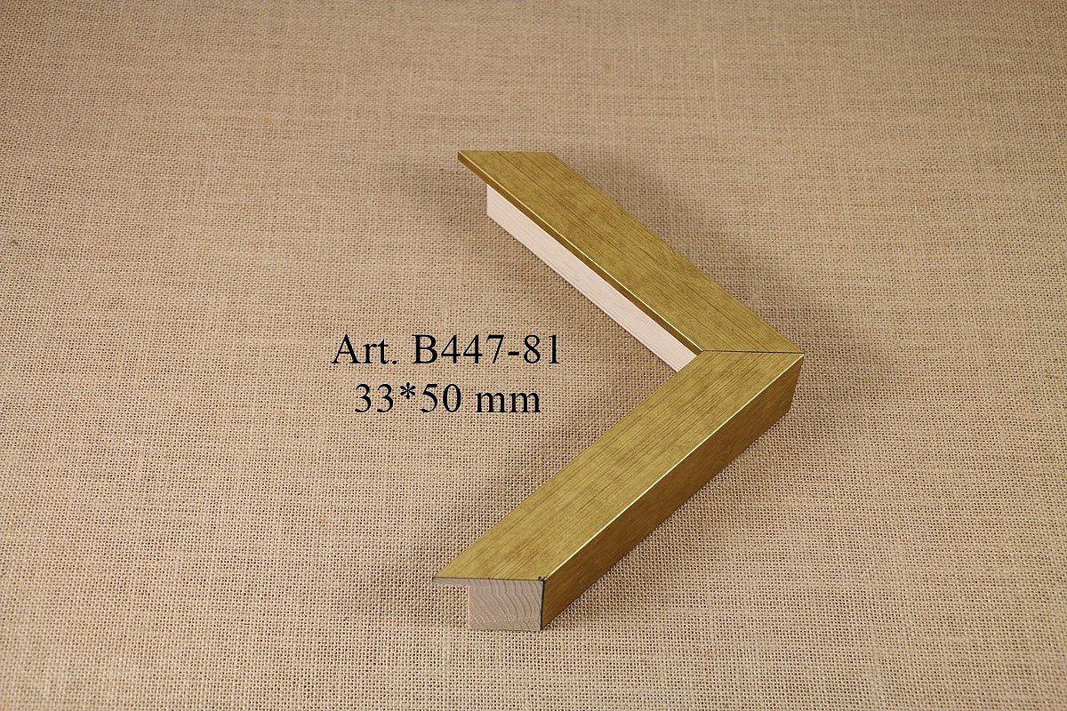 B447-81
