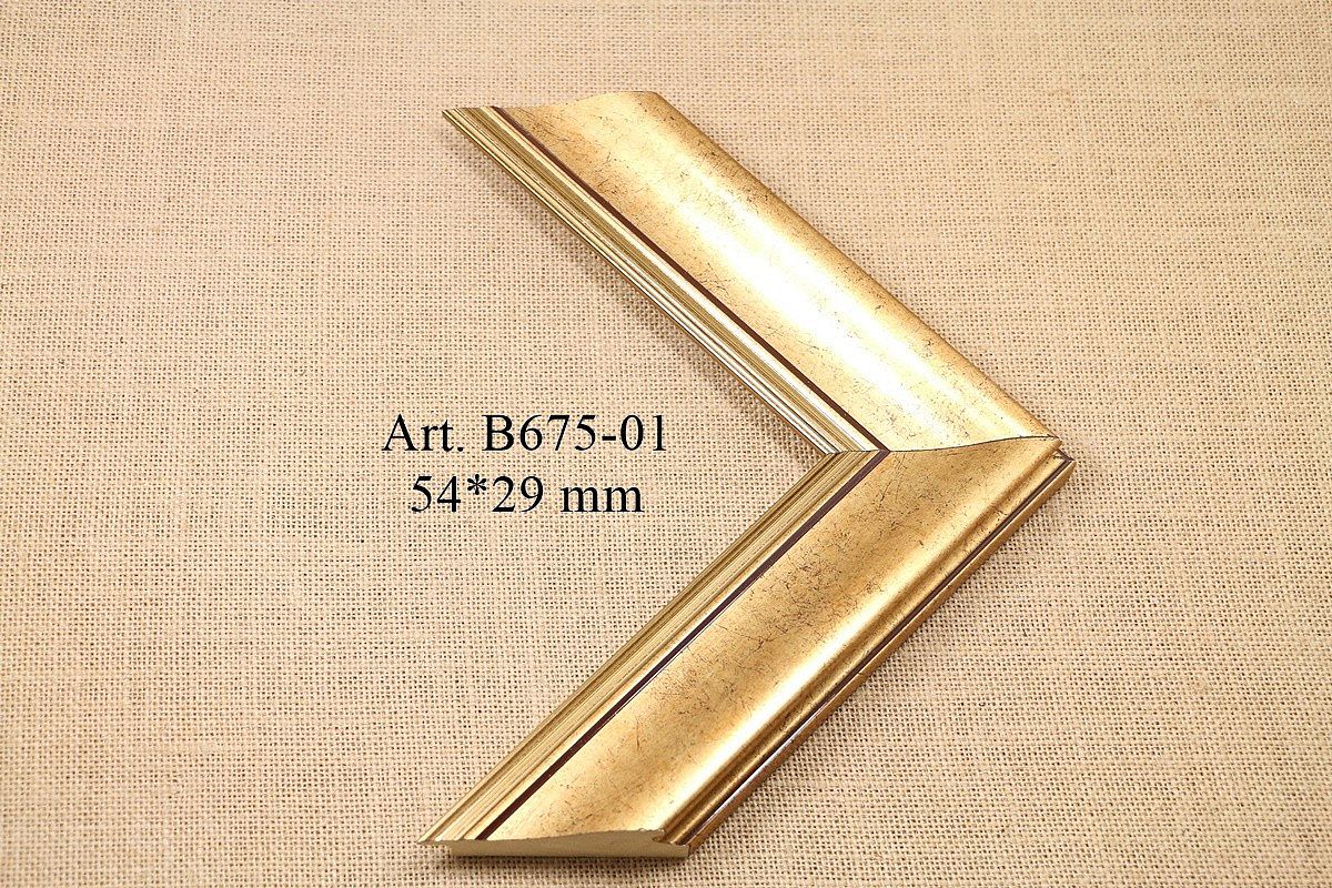 B675-01