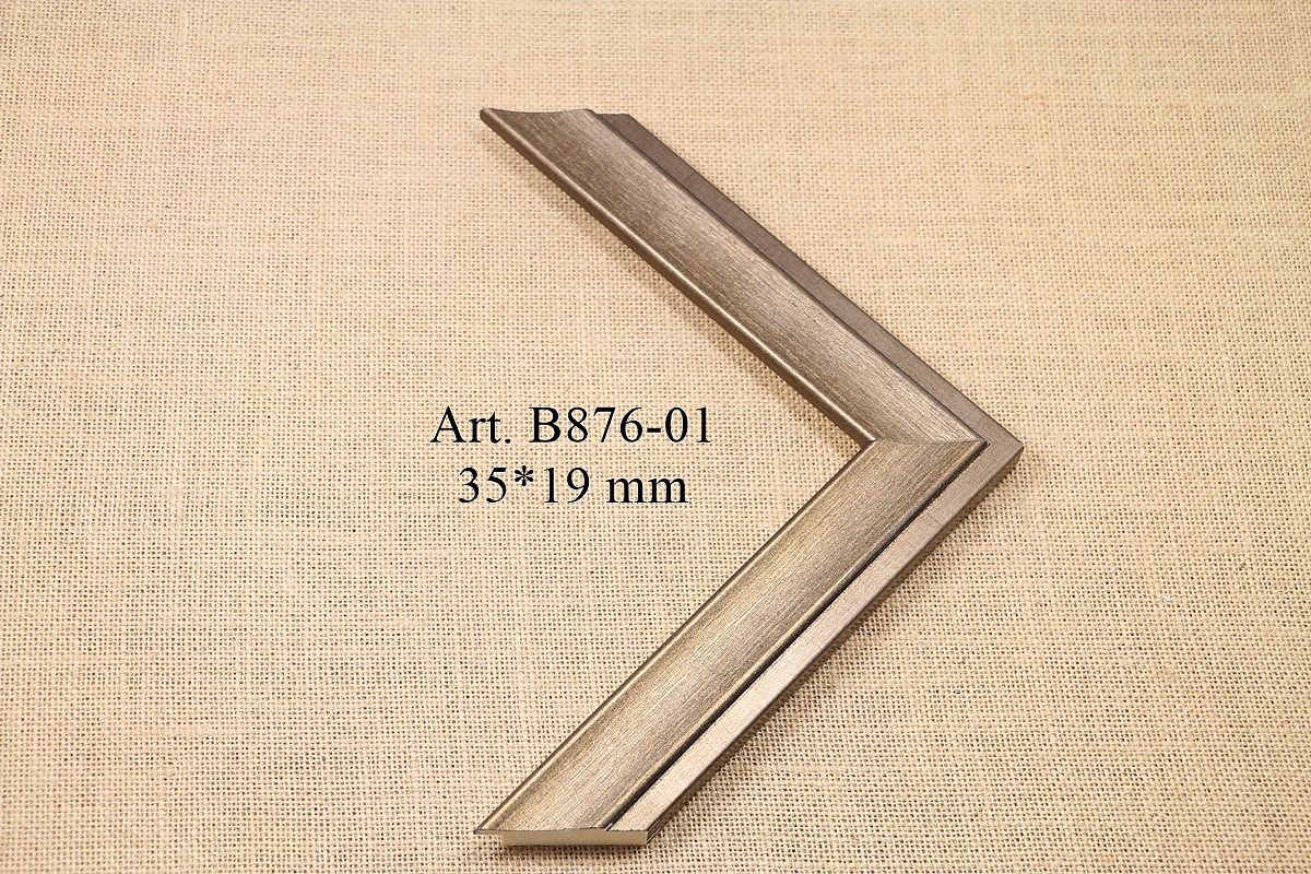 B876-01