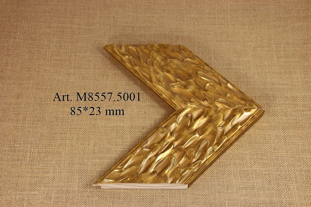 M8557.5001