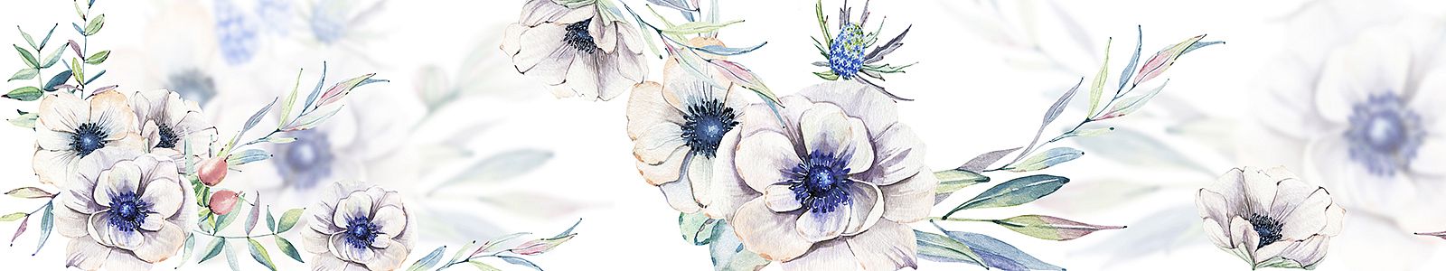 №8325 - Нежные цветы белой анемоны (ветреницы) с синими серединками на белом фоне в акварельной технике
