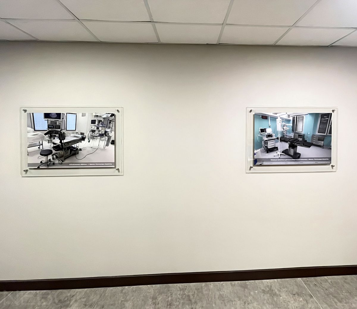 Картины на стекле с примерами работ компании на стену в коридоре