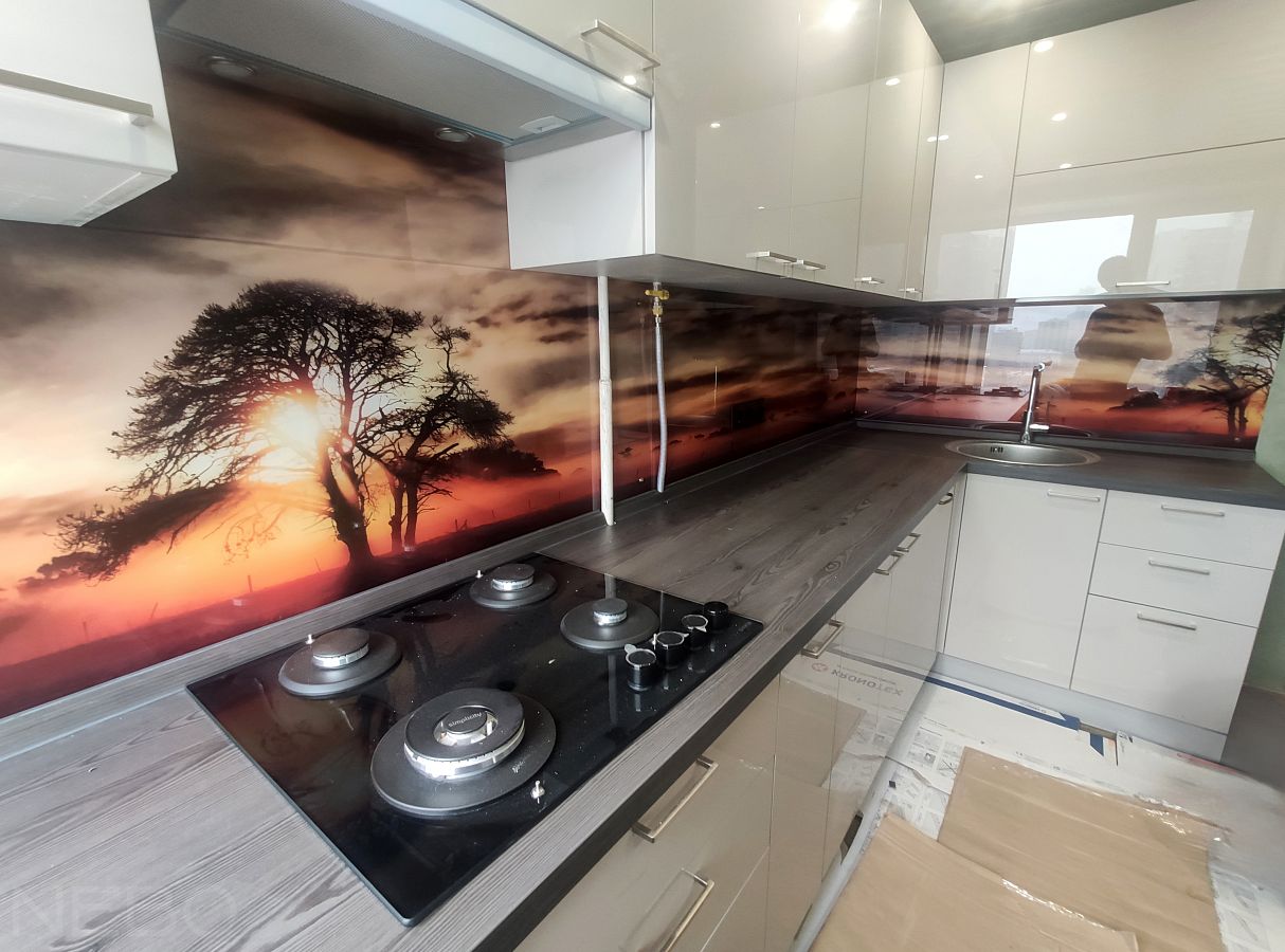 Скинали для кухни из стекла с солнечными лучами, пробивающимися сквозь крону дерева