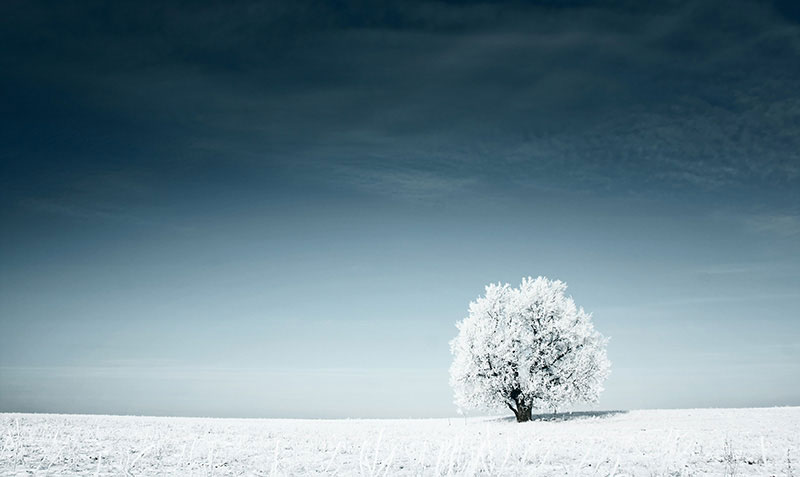 Изображение для фотопечати - 717