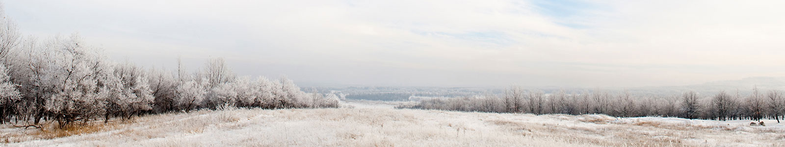 №1042 - Заснеженные поля в Беларуси