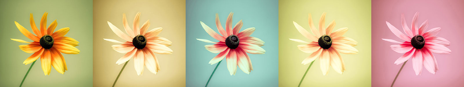№1174 - Отличный коллаж для хорошей кухни