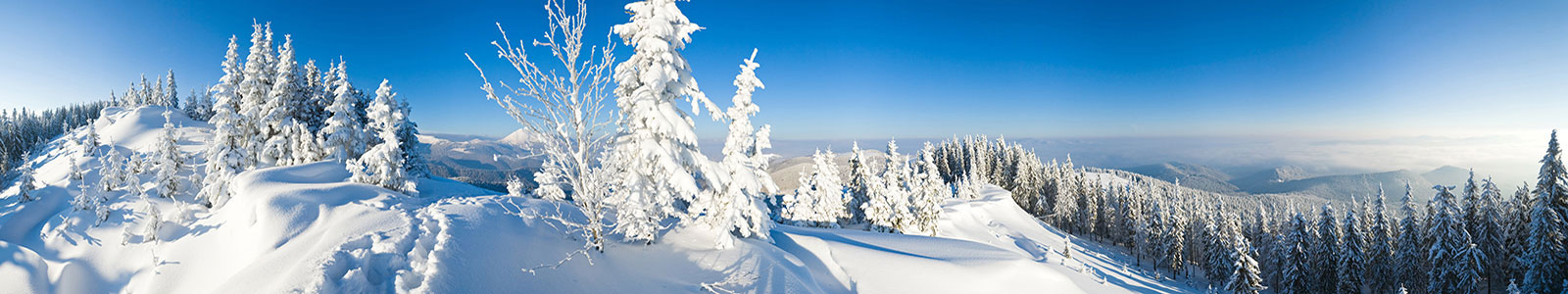 №1288 - Заснеженные леса Сибири