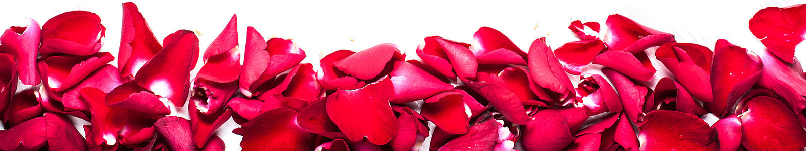 №1822 - Лепестки красных роз