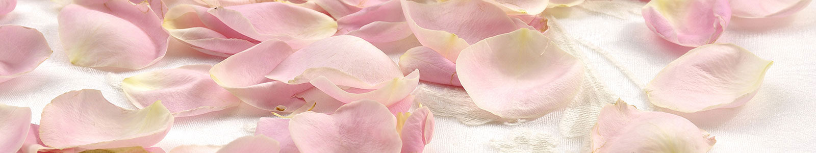 №1860 - Лепестки розовых роз