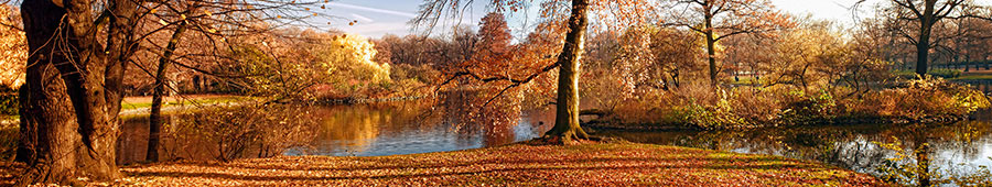 №2043 - Осенний парк в Нью-Йорке