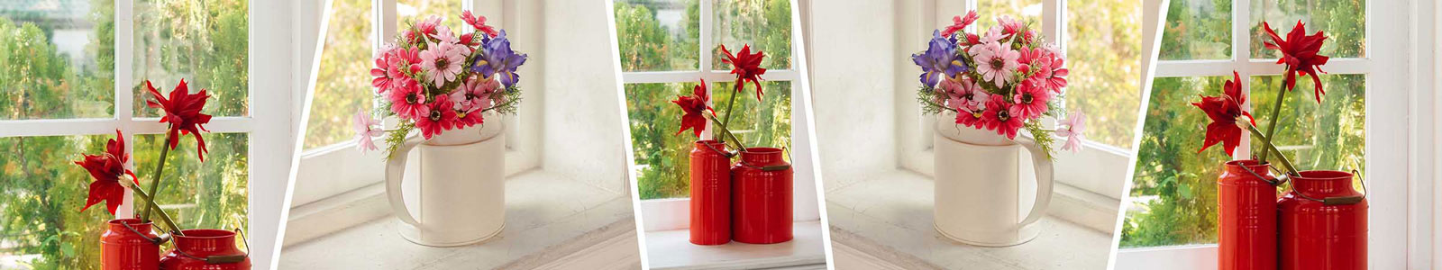 №2901 - Цветы в вазочках на окне в ясный день