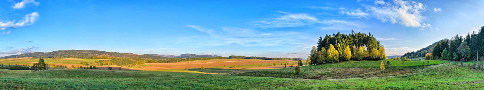 №3282 - Панорама гор, поляны и леса